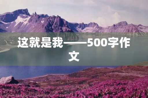 这就是我——500字作文 这就是我——500字作文