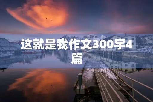这就是我作文300字4篇