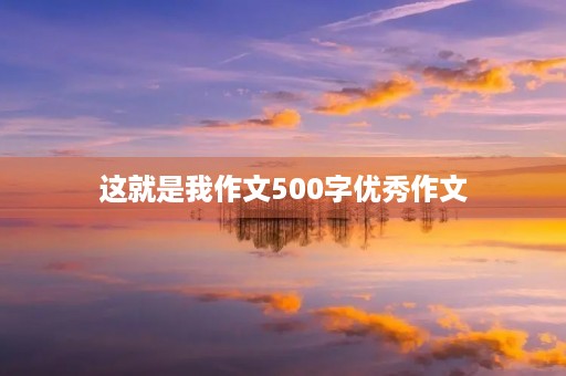 这就是我作文500字优秀作文 这就是我作文500字优秀作文