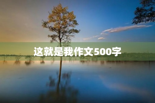 这就是我作文500字 这就是我作文500字