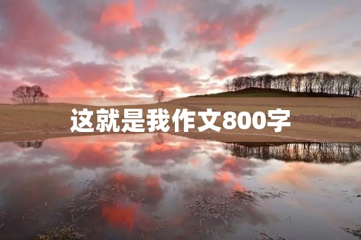 这就是我作文800字 这就是我作文800字