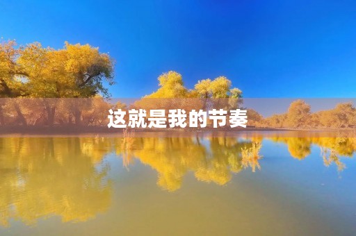 这就是我的节奏