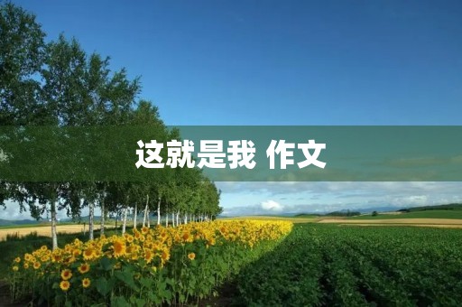这就是我 作文 这就是我 作文
