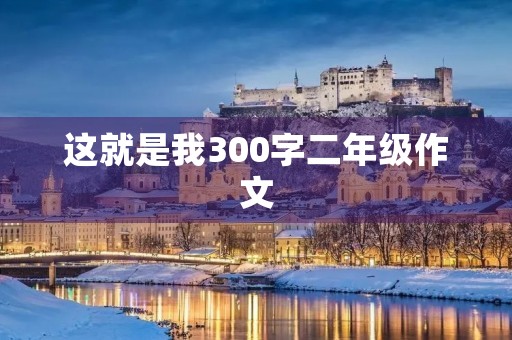 这就是我300字二年级作文