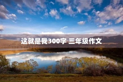 这就是我300字 三年级作文