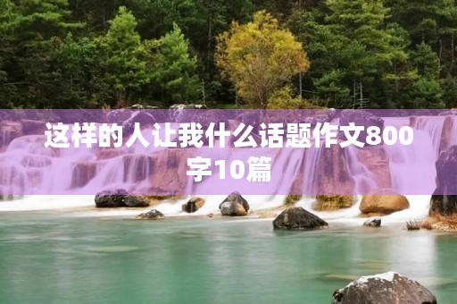 这样的人让我什么话题作文800字10篇
