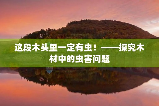 这段木头里一定有虫!——探究木材中的虫害问题 这段木头里一定有虫!——探究木材中的虫害问题