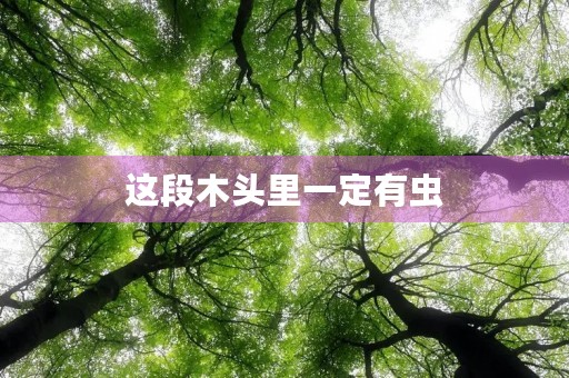 这段木头里一定有虫 这段木头里一定有虫