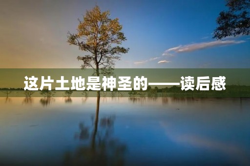 这片土地是神圣的——读后感