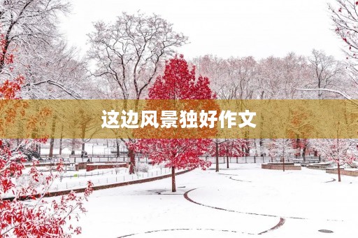 这边风景独好作文