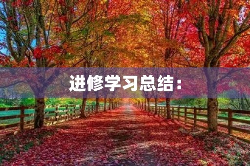 进修学习总结:
