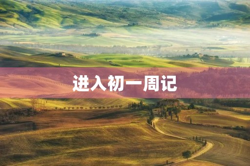 进入初一周记