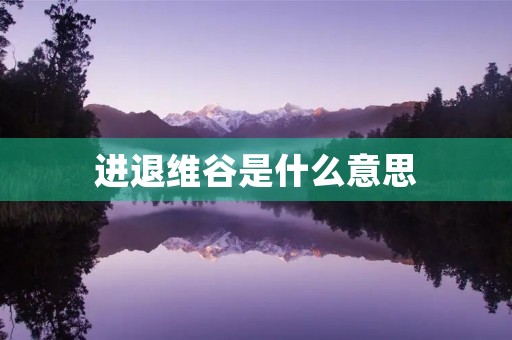 进退维谷是什么意思 进退维谷是什么意思