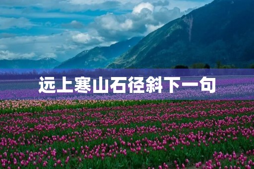 远上寒山石径斜下一句，远上寒山石径斜下一句是什么古诗