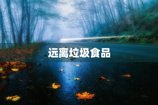 远离垃圾食品，关注身体健康