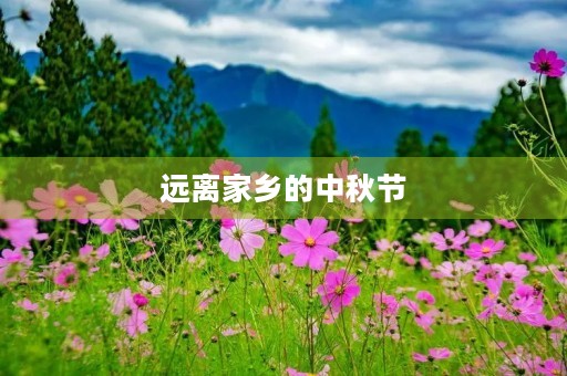 远离家乡的中秋节
