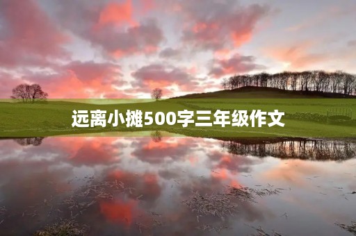 远离小摊500字三年级作文