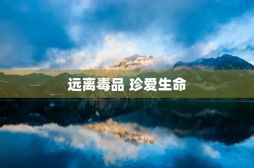 远离毒品 珍爱生命,远离毒品,向阳而生征文 远离毒品 珍爱生命,远离毒品,向阳而生征文
