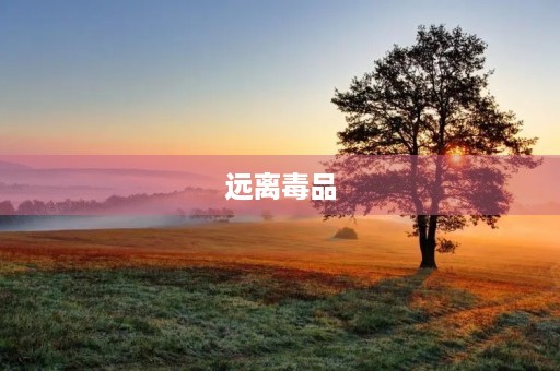 远离毒品 远离毒品