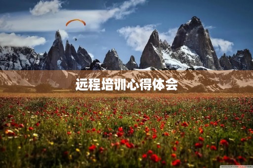 远程培训心得体会