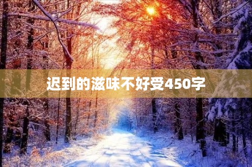 迟到的滋味不好受450字
