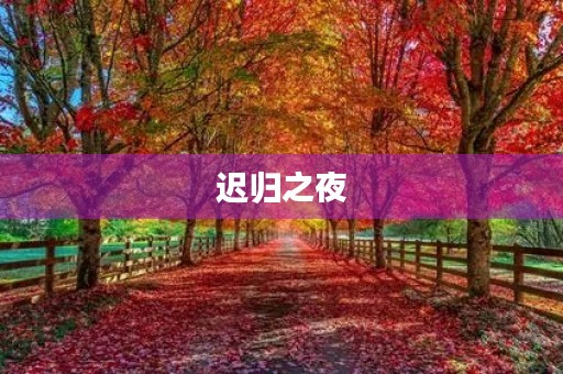 迟归之夜 迟归之夜