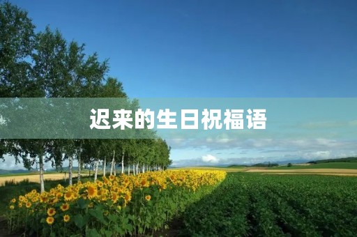 迟来的生日祝福语，补上迟到的生日祝福简短