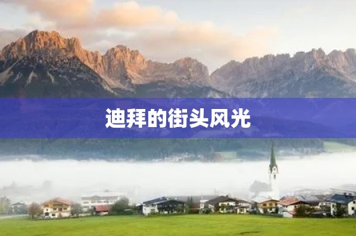 迪拜的街头风光