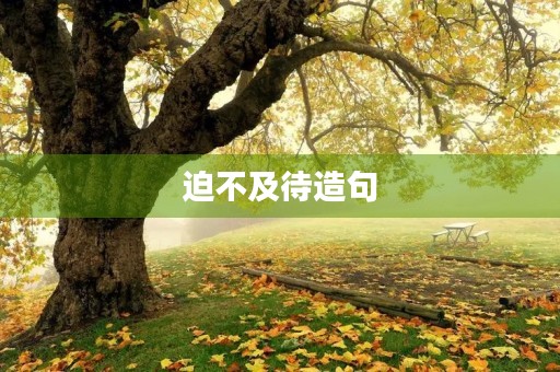 迫不及待造句(迫不及待造句) 迫不及待造句(迫不及待造句)