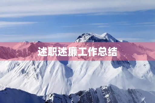 述职述廉工作总结
