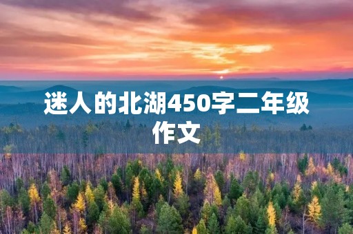 迷人的北湖450字二年级作文