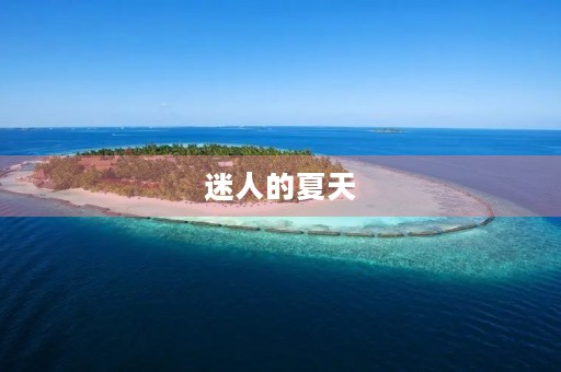 迷人的夏天 迷人的夏天