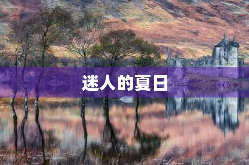 迷人的夏日 迷人的夏日