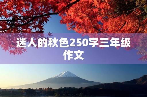迷人的秋色250字三年级作文 迷人的秋色250字三年级作文