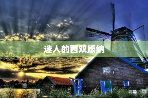 迷人的西双版纳，我来了！800字三年级作文