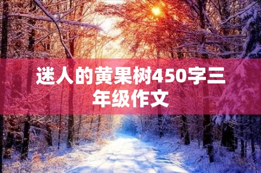 迷人的黄果树450字三年级作文