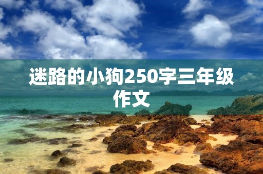 迷路的小狗250字三年级作文 迷路的小狗250字三年级作文