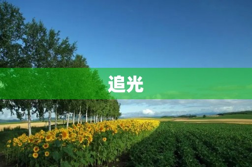 追光,我的梦想之路 追光,我的梦想之路