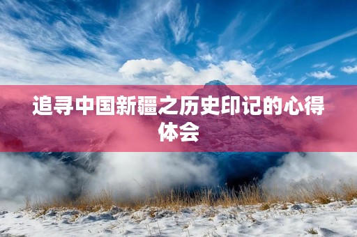 追寻中国新疆之历史印记的心得体会 追寻中国新疆之历史印记的心得体会
