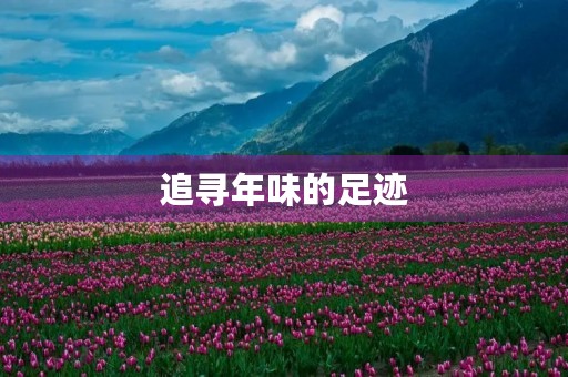 追寻年味的足迹