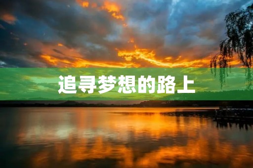 追寻梦想的路上