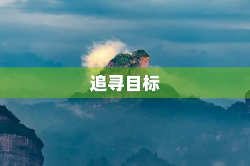 追寻目标，实现理想