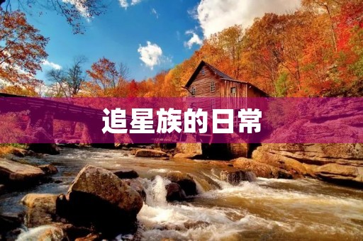 追星族的日常 追星族的日常