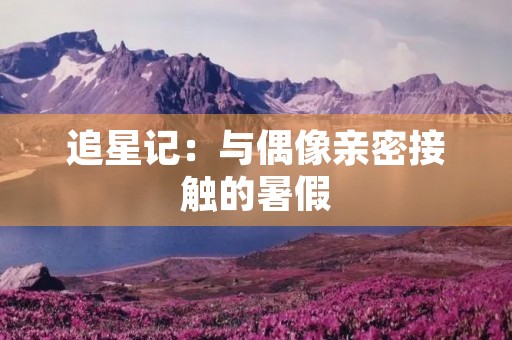 追星记：与偶像亲密接触的暑假
