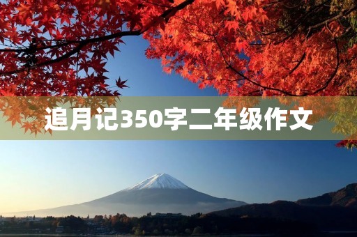 追月记350字二年级作文
