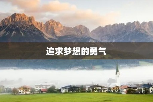 追求梦想的勇气