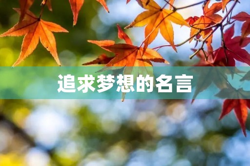 追求梦想的名言(励志追求梦想的名言) 追求梦想的名言(励志追求梦想的名言)