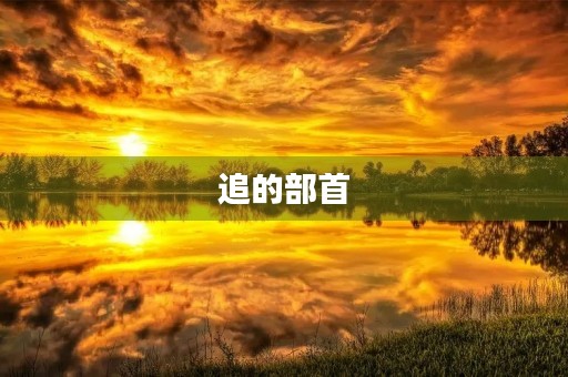 追的部首(追组词)