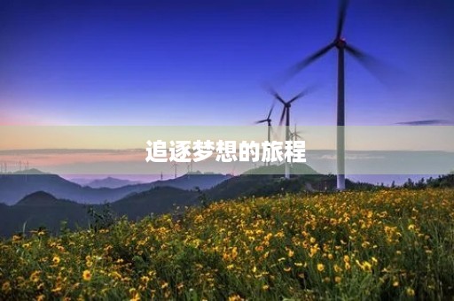 追逐梦想的旅程