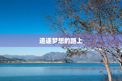 追逐梦想的路上